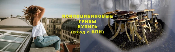стафф Абаза